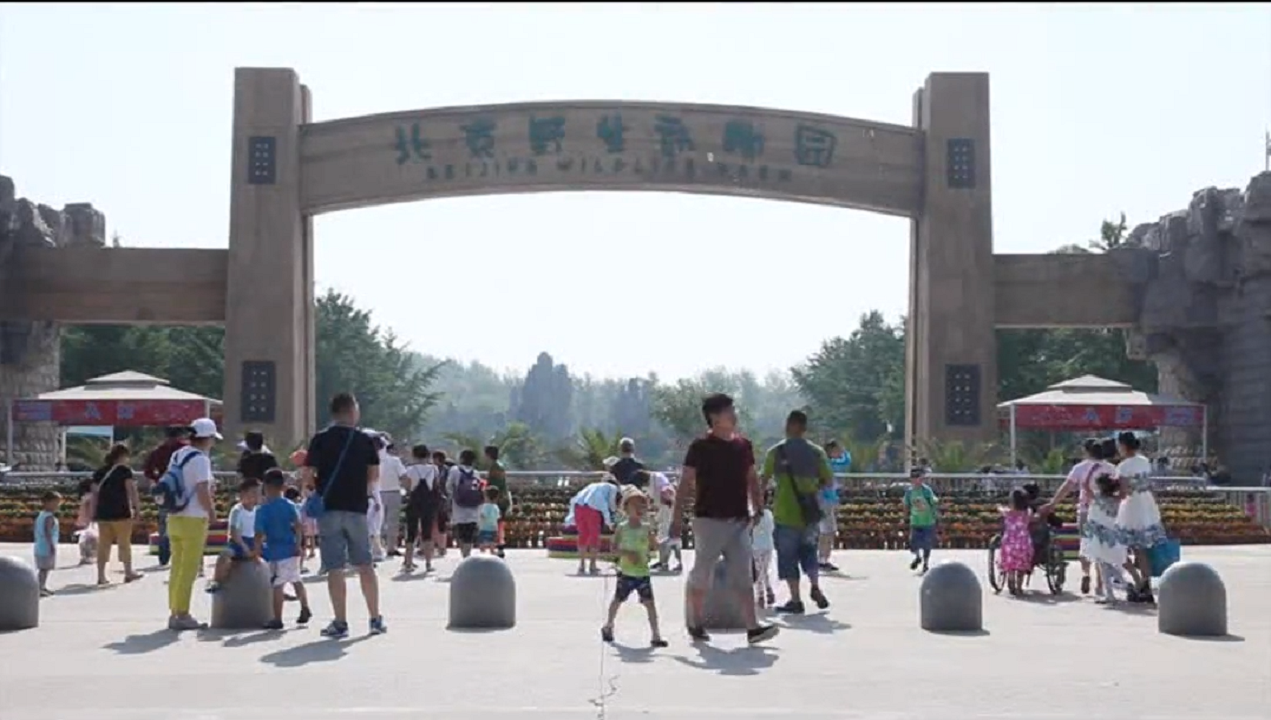 BetMGM官网-相信品牌力量