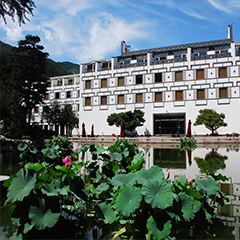 BetMGM官网-相信品牌力量