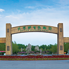 BetMGM官网-相信品牌力量